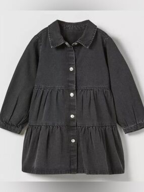 Zara dress Toddler